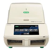 BİORAD CFX96